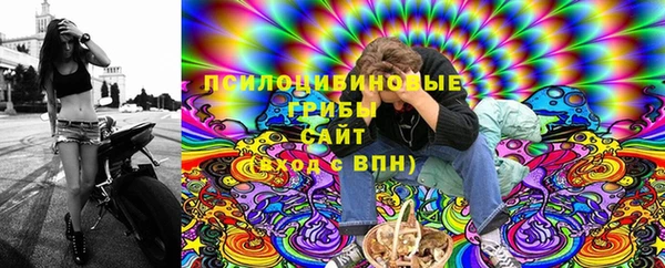 мдпв Кулебаки
