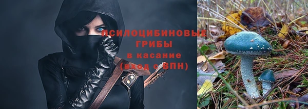 мдпв Кулебаки