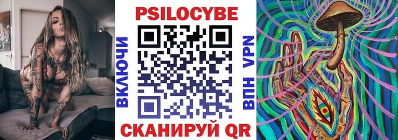 Псилоцибиновые грибы мицелий  Купить закладки  Ельня 